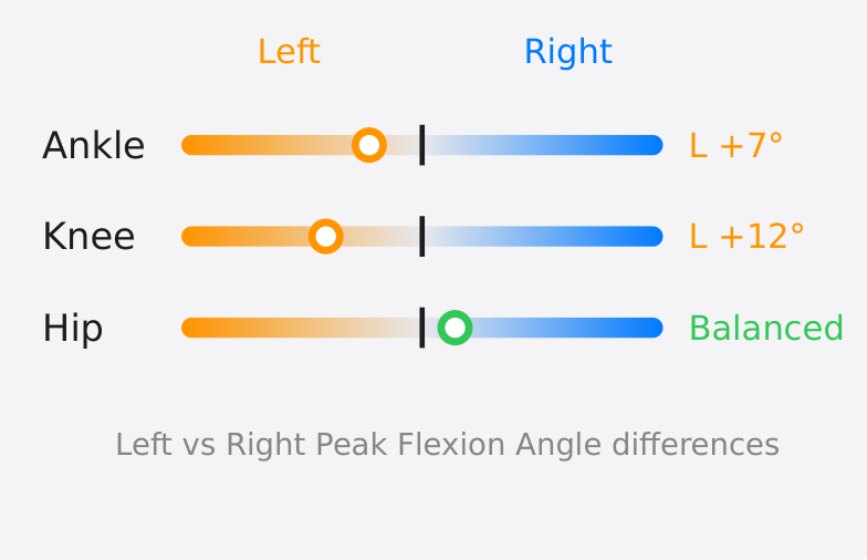 Movement Report: peak flexion angle symmetry at the ankle, knee and hip